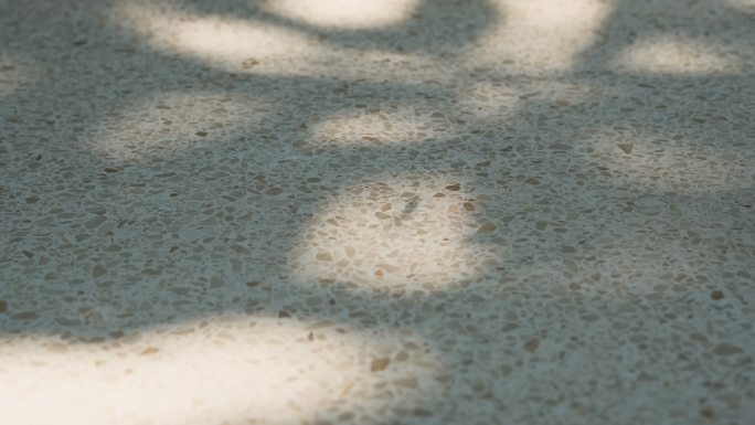 鹅卵石地面上的叶影