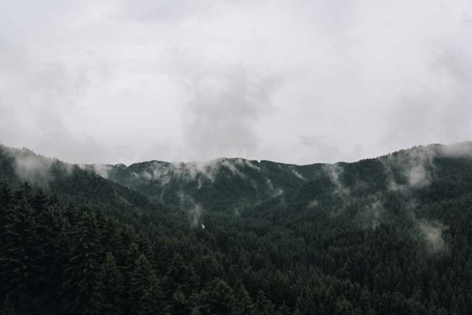 森林里雨后的烟云延时摄影