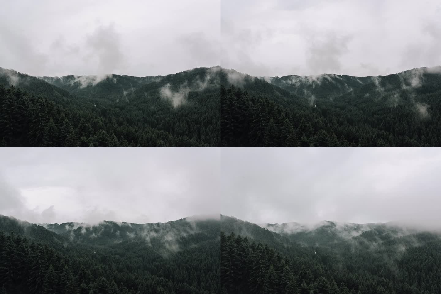 森林里雨后的烟云延时摄影