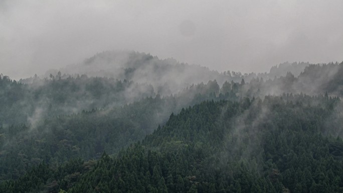 山 云海地面延时01