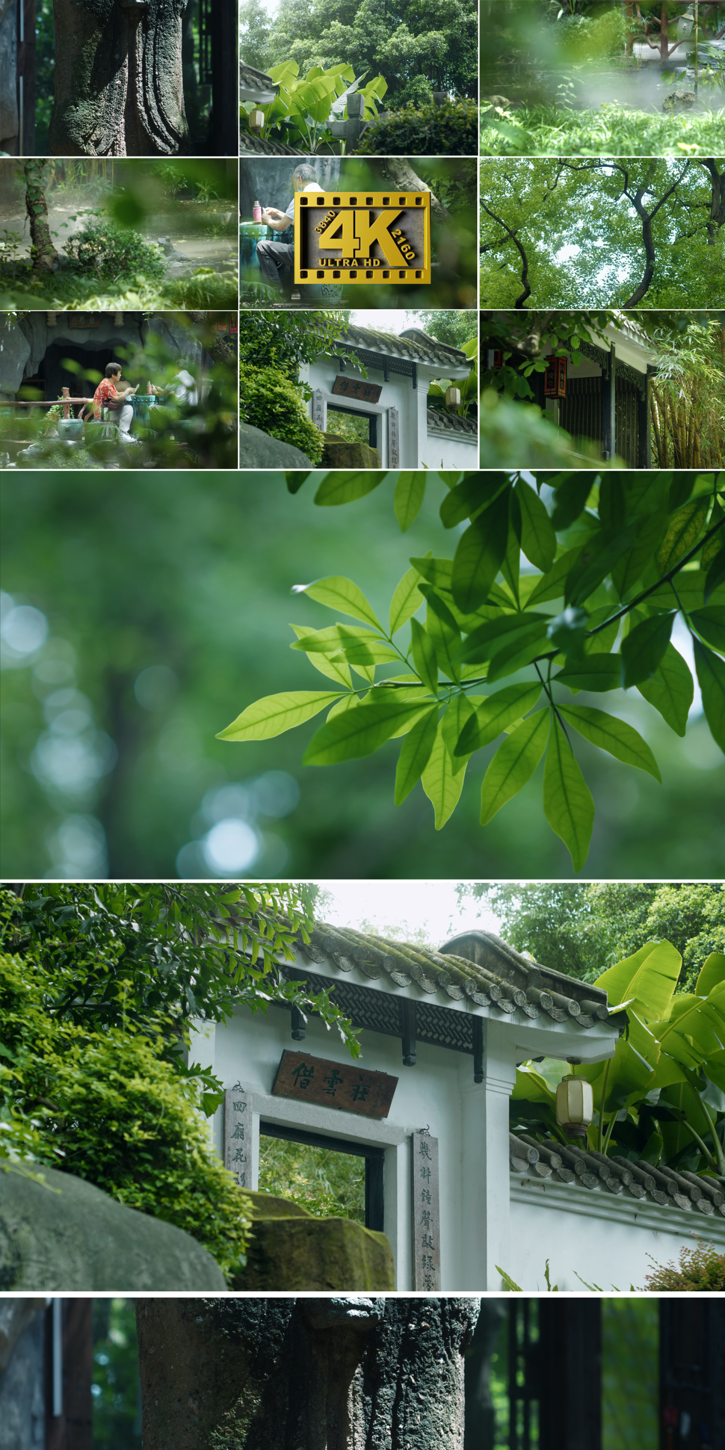 中式园林景观古建筑写意意境庭院绿化新中式