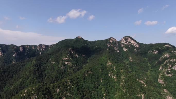 西葫芦 森林 三座崖山