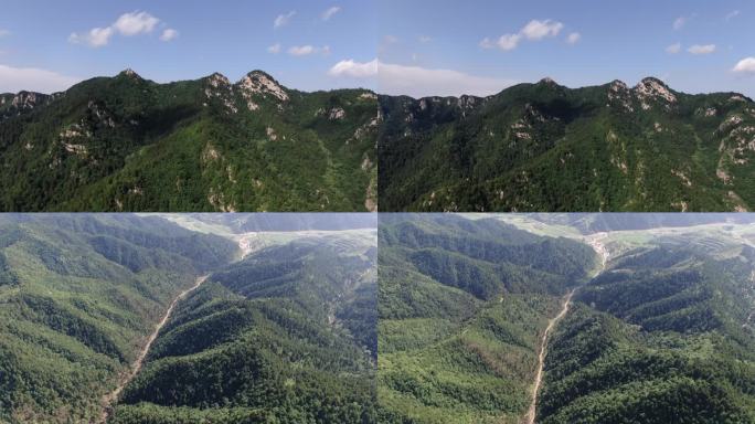 西葫芦 森林 三座崖山