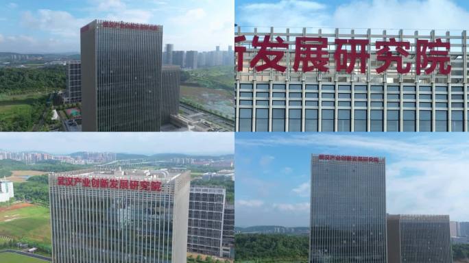 武汉产业创新发展研究院（光谷）