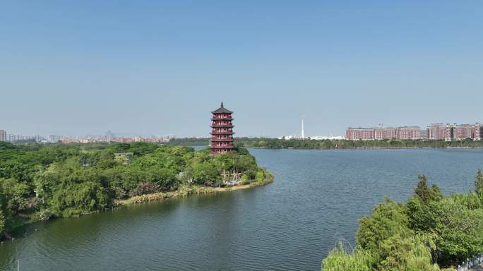 东莞麻涌华阳湖湿地公园