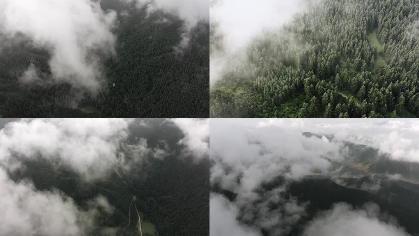 云海笼罩航拍穿云 下面是森林高山