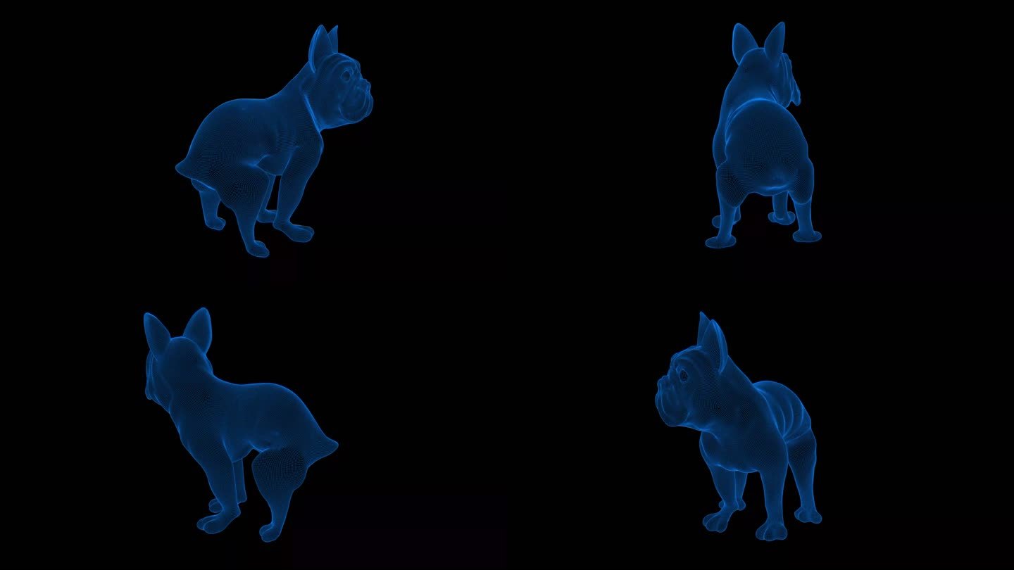 4k蓝色全息科技线框动物狗素材带通道