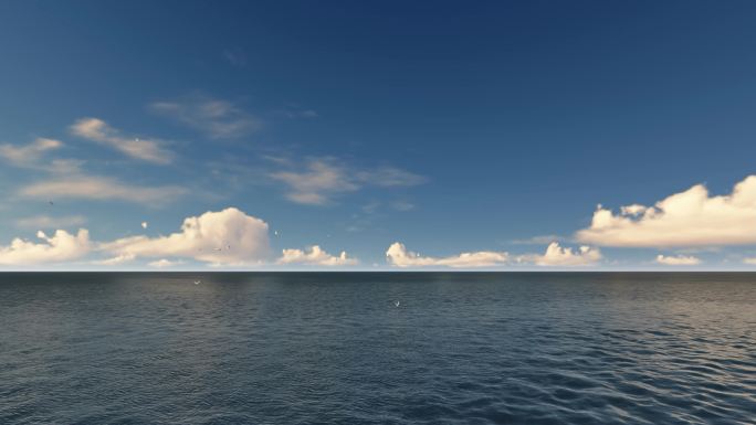 4K大海蓝天白云海鸥飞翔海阔天空风景