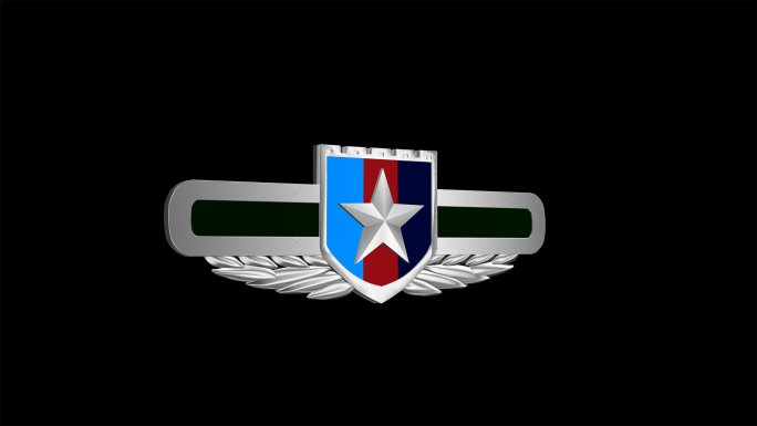 中央军委直属单位国防动员单位胸标