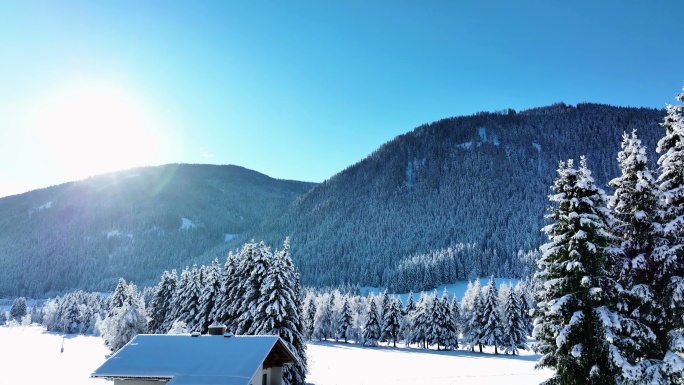 冬季阿尔卑斯山股票视频