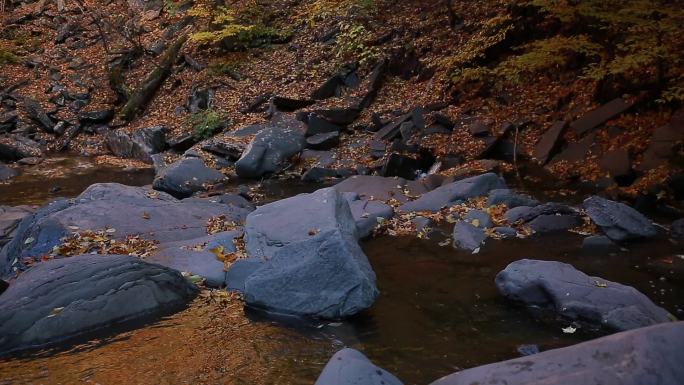 秋天小溪河流意境