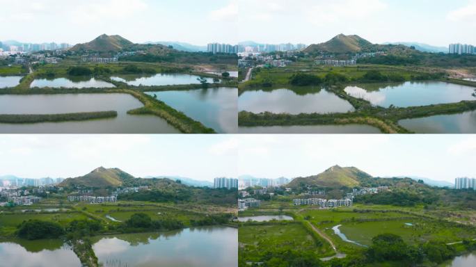 香港郊区村庄和农田的无人机视图