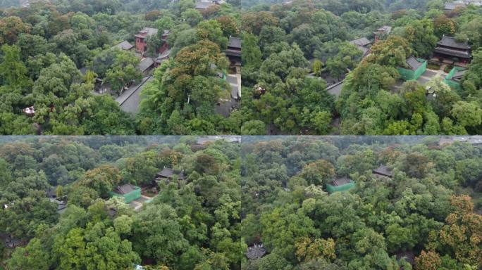 四川省乐山市乐山大佛景区航拍