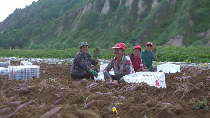 可爱的农民阿姨