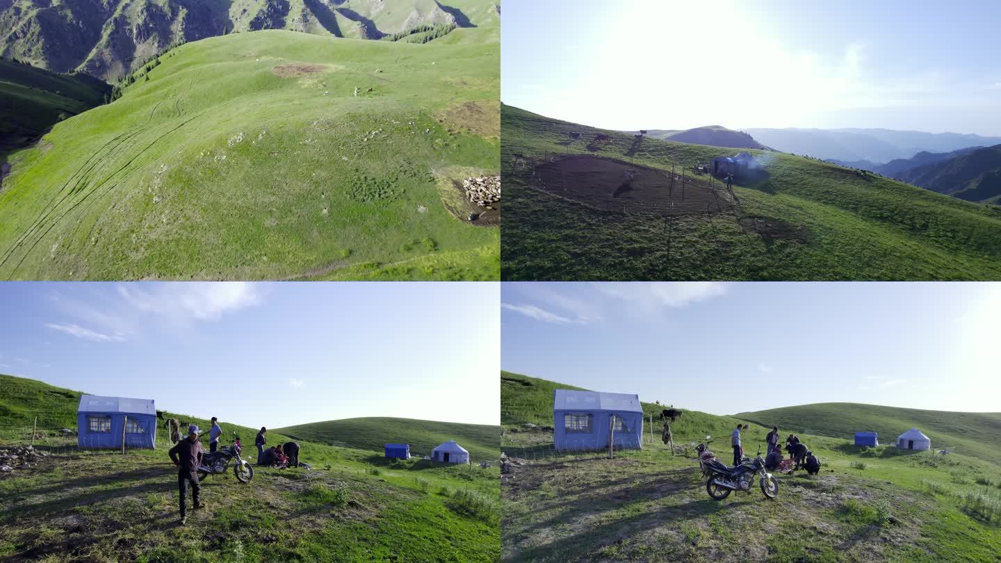 新疆特克斯草原