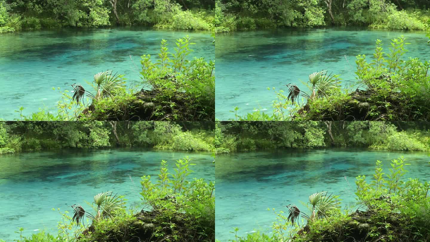 Ichetucknee佛罗里达州立公园蓝洞泉水视频