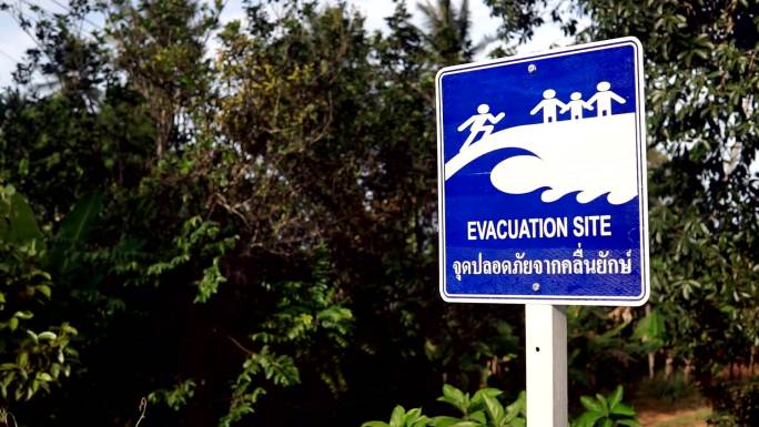 疏散现场海啸地震灾害预警标志