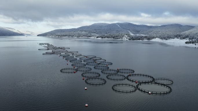 冬季的鱼圈。冬季鱼圈水产养殖