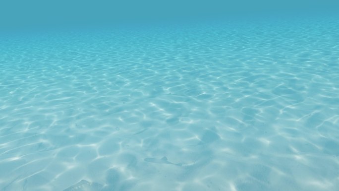 4K清澈水底水下风景水波纹海底游鱼