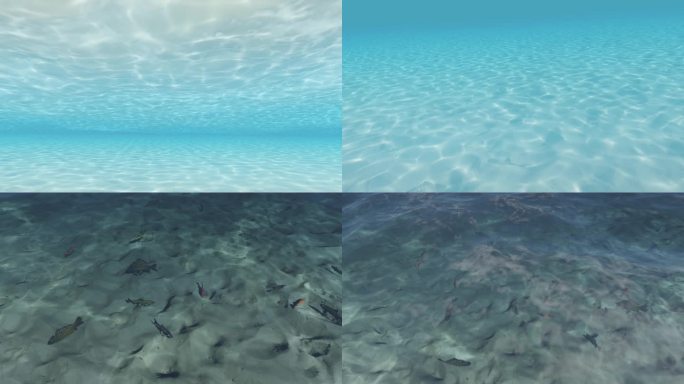 4K清澈水底水下风景水波纹海底游鱼