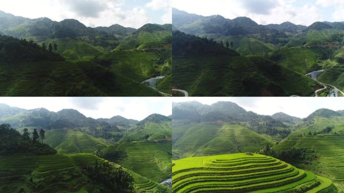 山区梯田茶园航拍宣传片风光素材