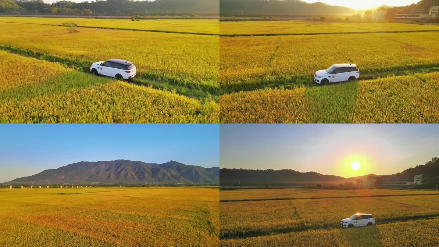 黎塘–千亩稻谷航拍