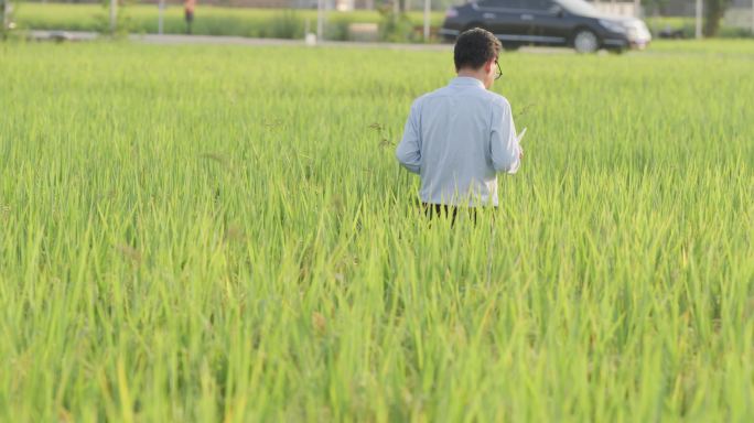 走在农田里的农业专家