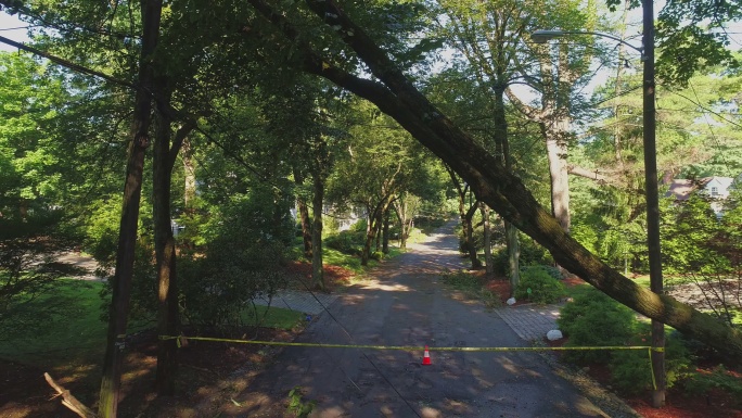 警方的路障胶带标出了因郊区危险风而封闭的道路。风暴过后，新泽西州一个小镇上，一棵倒下的树挡住了街道。