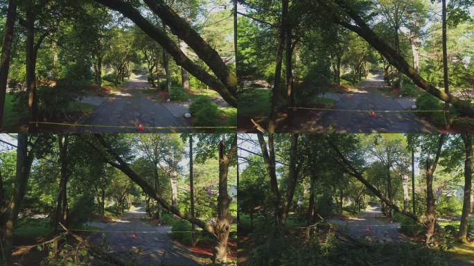 警方的路障胶带标出了因郊区危险风而封闭的道路。风暴过后，新泽西州一个小镇上，一棵倒下的树挡住了街道。