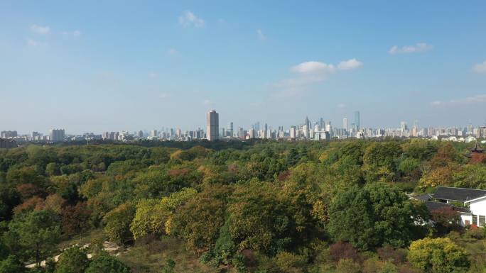 航拍南京钟山景区