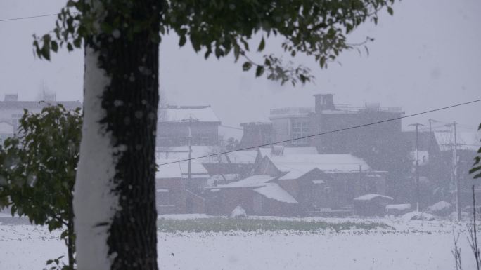 农村下雪了