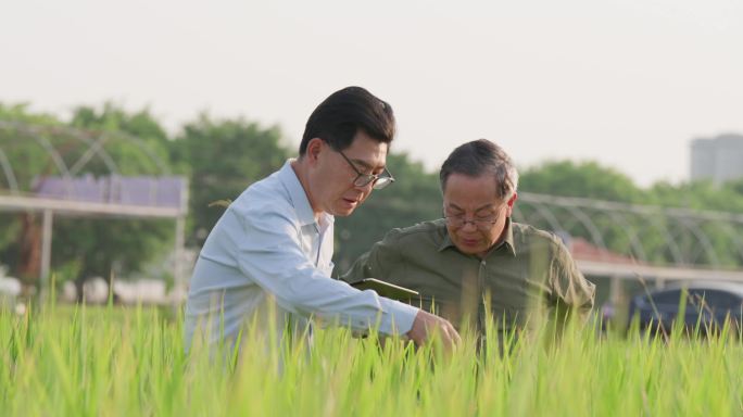 农田种植考察