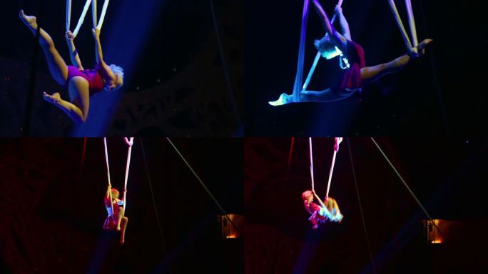 海洋公园 节目表演 演员