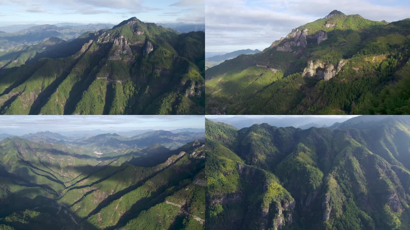 4k森林大自然流水风景树林山水自然山山川