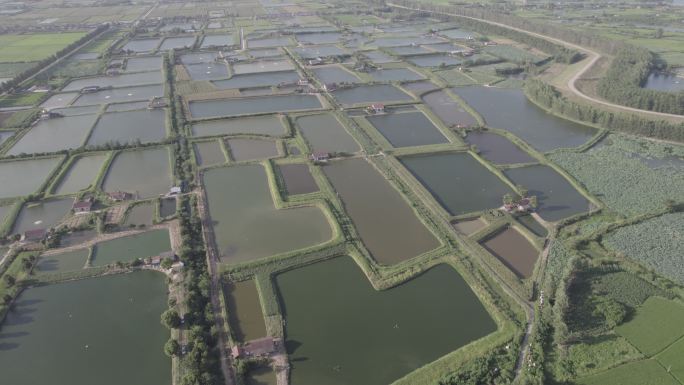 无人机航拍湖北荆州鱼米之乡4K灰片