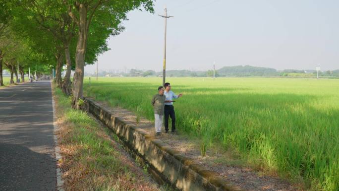 生态农业种植