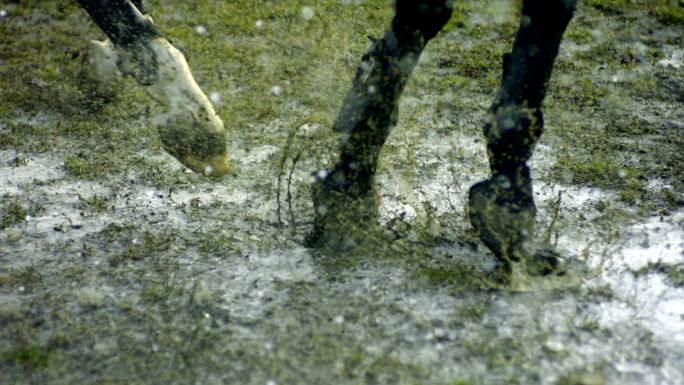 马在雨中跳跃奔跑慢镜头