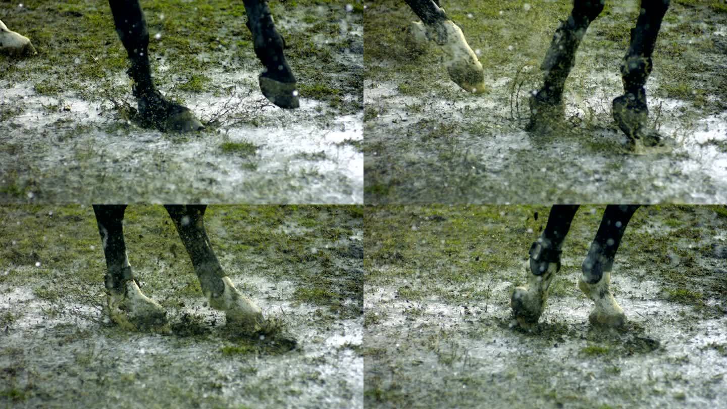 马在雨中跳跃奔跑慢镜头