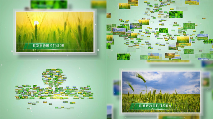 绿色生态环保图文汇聚片头照片汇聚文字定板
