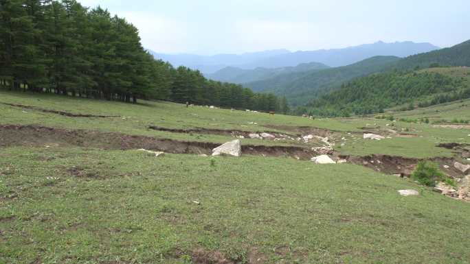 北方草原退化