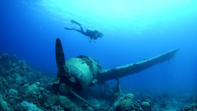 二战沉没飞机残骸-密克罗尼西亚帕劳