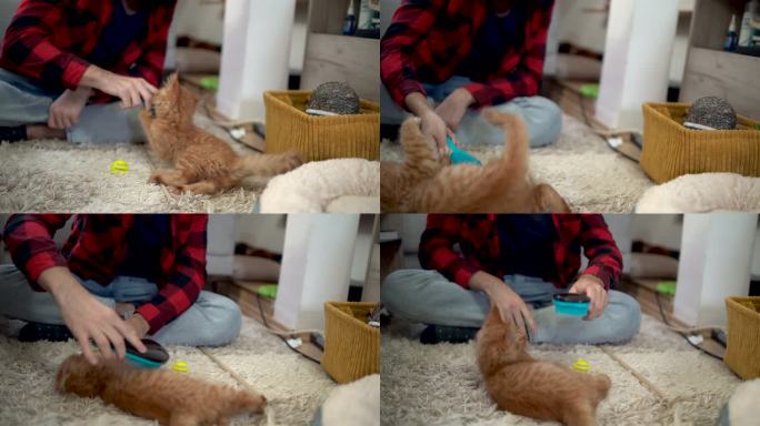 男子用梳毛刷刷他的猫