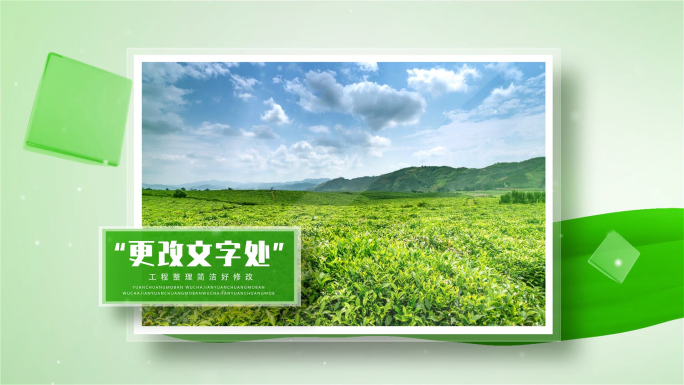 绿色环保图文展示单照片包装生态相册长模板