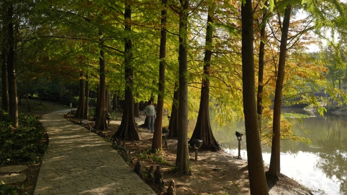 南京钟山景区自然风景