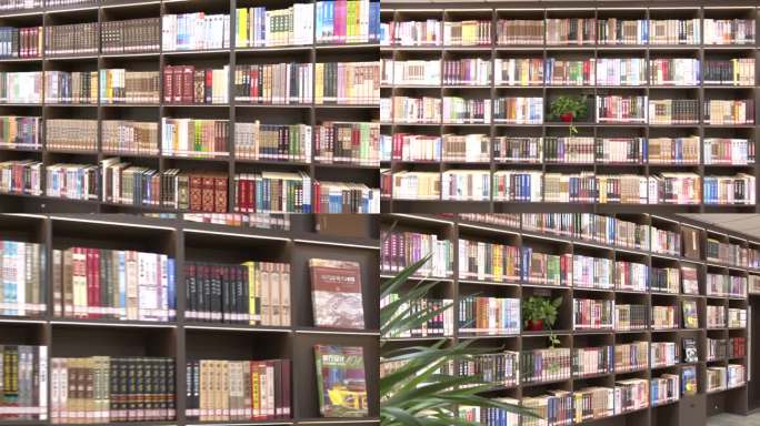 图书馆整面墙都是书架里面摆满书籍
