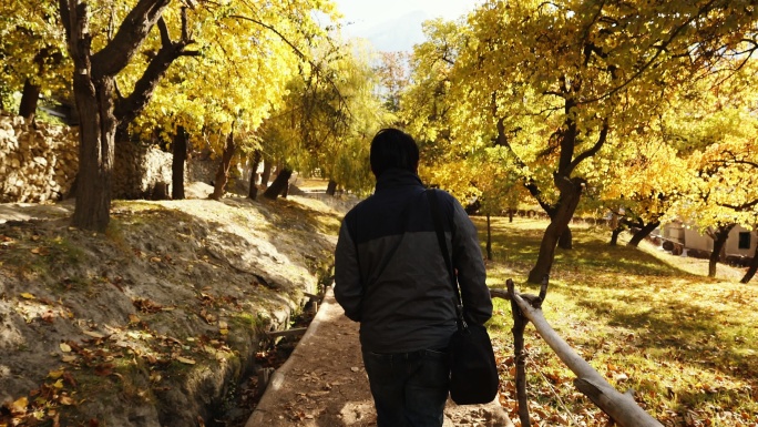 在喜马拉雅山风景秀丽的秋天花园里散步的男人