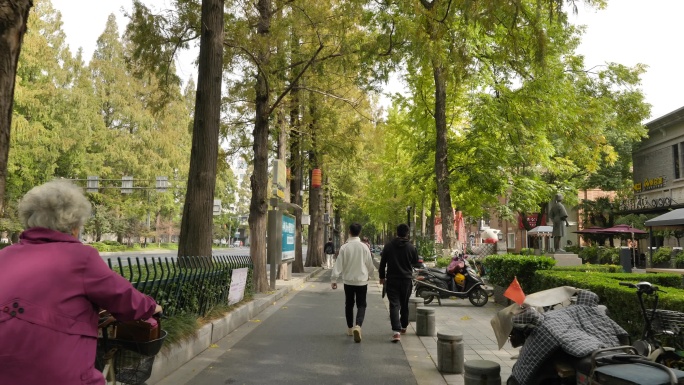 南京城市内的梧桐树马路