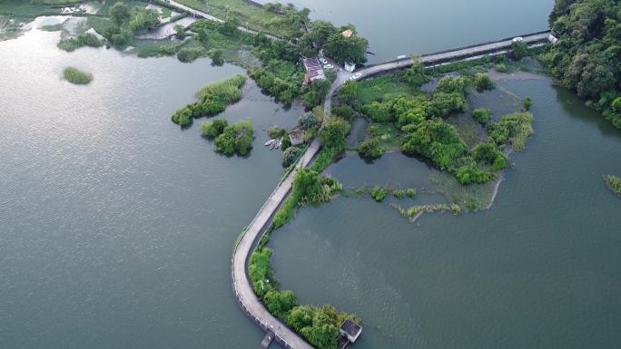 海口新旧沟湿地公园