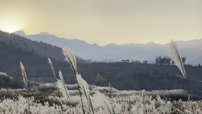 延时美景