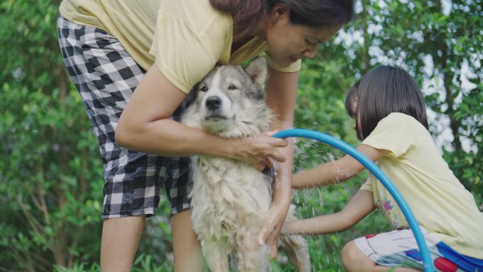 亚裔妈妈和小女儿在洗狗。
